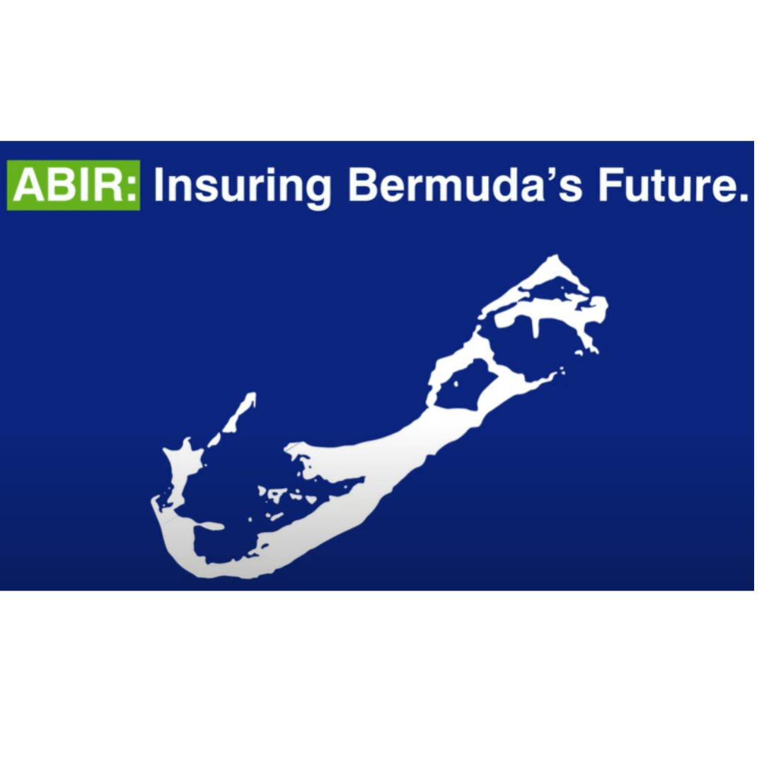 Insuring bda future (1)